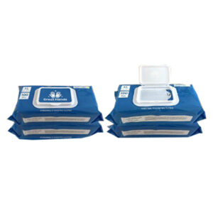 Great Hands Personal Cleaning Wipes (Pack of 4)